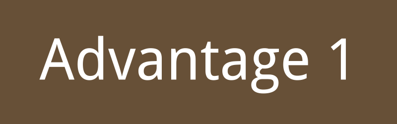 Advantage 1